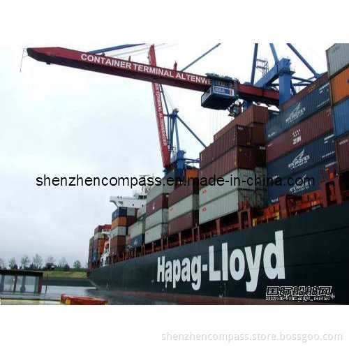 Ocean Shipping Sea Freight to Manzanillo/Puerto Cabello/Caucedo/Kingston/Maracaibo/Santo Domingo/Lima From China
